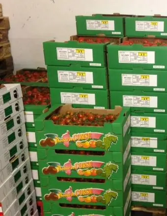 Palettes de tomates cerises en cartons Produits de Corse, au dépôt